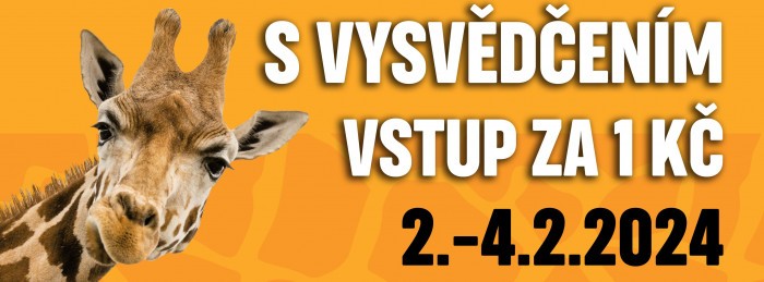 417396857 755144346637194 2068818824259130526 n