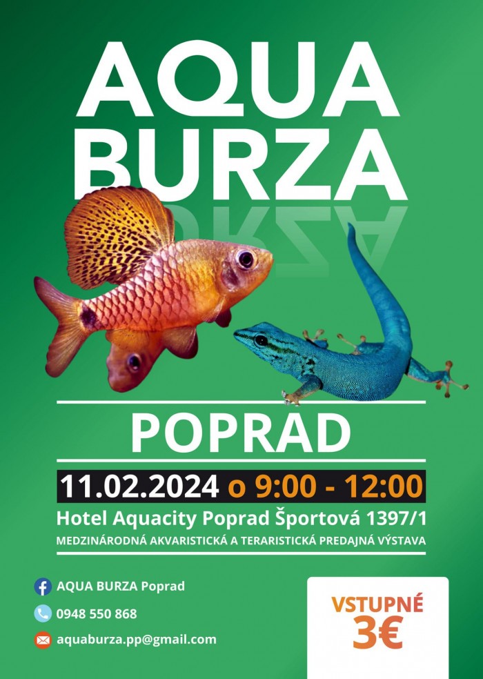 aqua burza