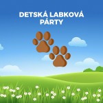 labkova party skalica