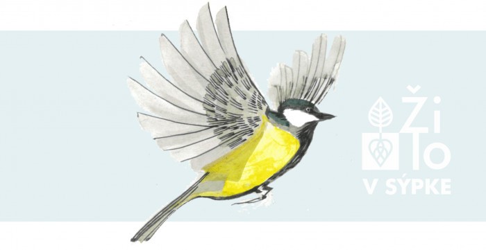 428132677 380069998092500 6965835104846774358 n