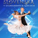 msr STT plagat v3