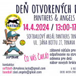 Plagat panthers angels DOD 2024 FB 01