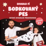 600x800 bodkovany