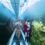 Haus des Meeres DANIEL ZUPANC 31 3