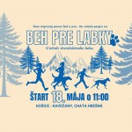 434074828 803641905128988 8346133415405899295 n