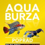 large Aqua Burza AquaCity Poprad jun 2024