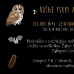 FB IMG 1719344936717