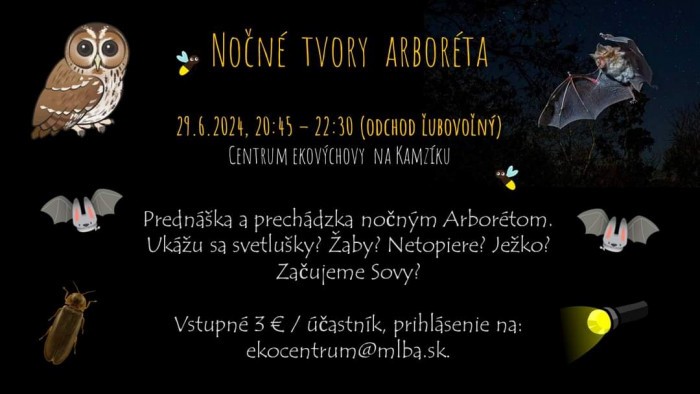 FB IMG 1719344936717