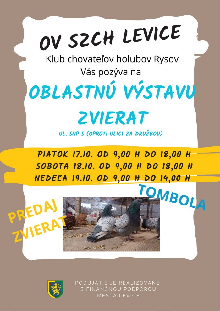 556301390 1137679808471825 5009146570674178099 n