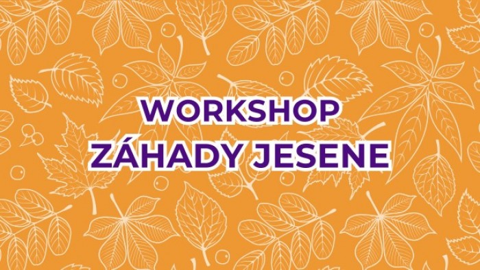 548188761 1368685571925573 2819039946899990354 n