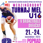 large MEL plagat 297 x 420 mm 1 1 