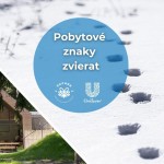 577862995 1280080434155933 5178927138258728724 n