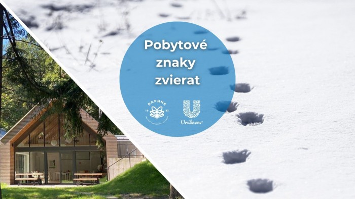 577862995 1280080434155933 5178927138258728724 n