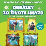 600x800 hmyz