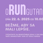 504154397 1271630528303655 8083877113689525793 n