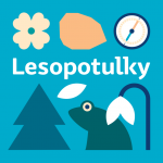 lesopotulky TT