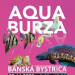 544500217 1169390748542040 2267431406364201600 n2