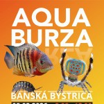 600357809 1253400450141069 7398200353081287169 n