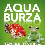 653710936 1323203733160740 907987884474056775 n