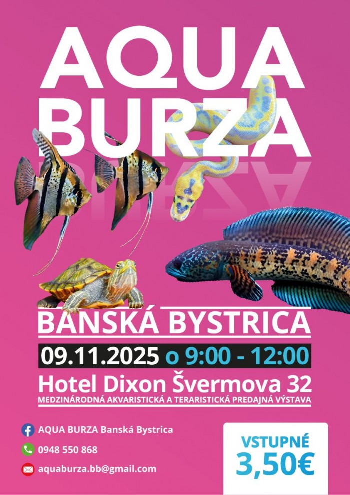 544500217 1169390748542040 2267431406364201600 n2