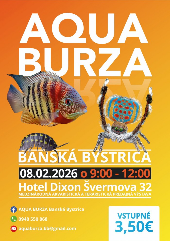 600357809 1253400450141069 7398200353081287169 n