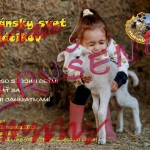 FB IMG 1742588986384