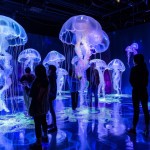 LUMINA GALERIA7