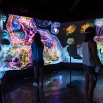 LUMINA GALERIA8