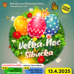 Sibacka plagat2