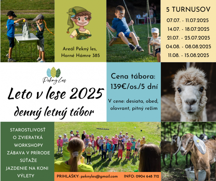 banner TABOR 2025