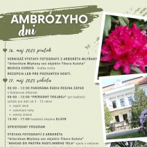 AD2025plagat