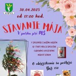 Stavanie maja v Samorine25