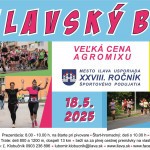 ilavsky beh2025