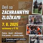 DsZZ