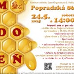 plagat medoden 25 768x556