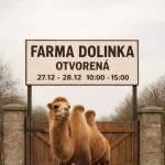 FB IMG 1766775858135