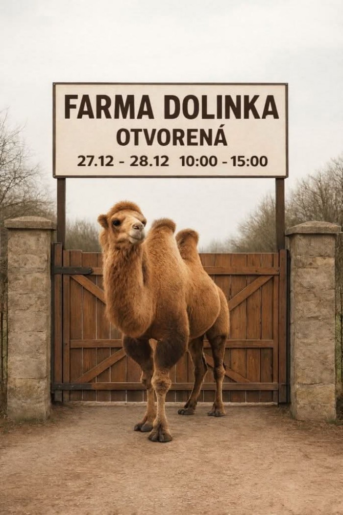 FB IMG 1766775858135