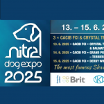 dogexpo 7f096b md