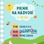 Piknik na nadvori25