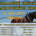 furmanske 2025 3fe4db19ee63feaeb5240a39f47d9a2a 1024x724