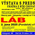 exoticke plazy lab25