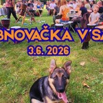 651275912 1531466692317091 8184090277645121392 n