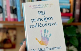 5 principov