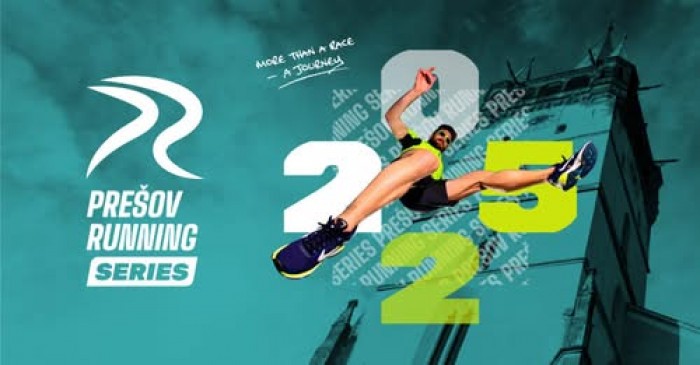 13333617281555142632