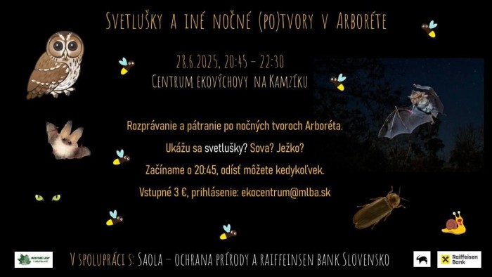 FB IMG 1750879423539