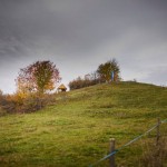 e img 2479