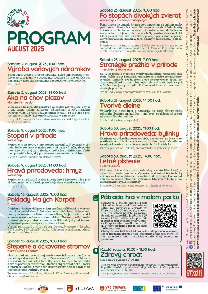 521315869 721138617372202 5259076394722177263 n