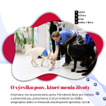 Prezentacia prace vodiacich a asistencnych psov