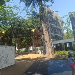 IMG 20250810 110940