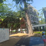 IMG 20250810 110941